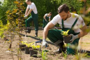 Find Best Gardener in Surrey or Berkshire