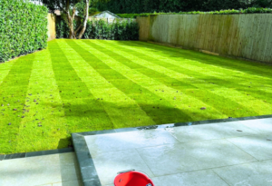 Garden landscaping and renovation in Walton-on-Thames, Surrey, with new patio and natural turf.