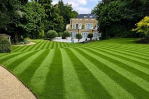Garden maintenance in Weybridge, Surrey, by LG Pro Landscaping