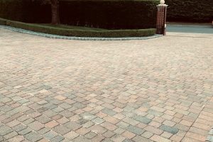 Hedge trimming and driveway cleaning by LG Pro Landscaping